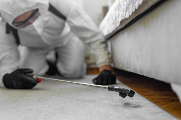 Professional Termite Control technician working in Evergreen, AL