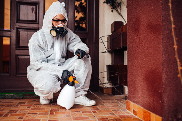 Reliable Termite Control contractor in Evergreen, AL by Nex Pest Control