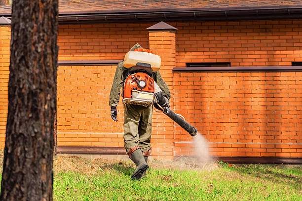 Trusted Emergency Pest Control service in Evergreen, AL - Nex Pest Control
